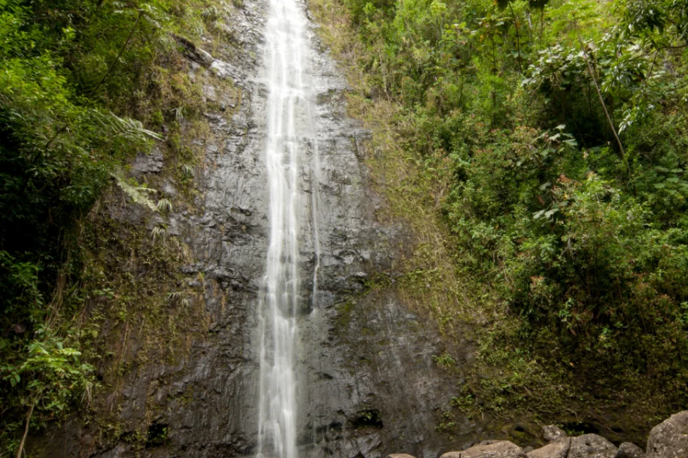 Manoa Falls Waterfall